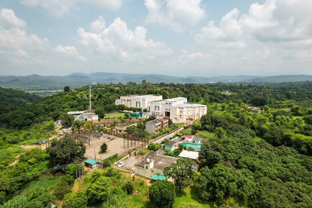 Himachal Plant